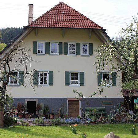 Haus Am Bach Appartamento Steinach  Esterno foto