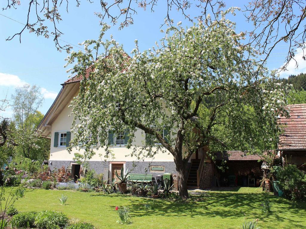 Haus Am Bach Appartamento Steinach  Esterno foto