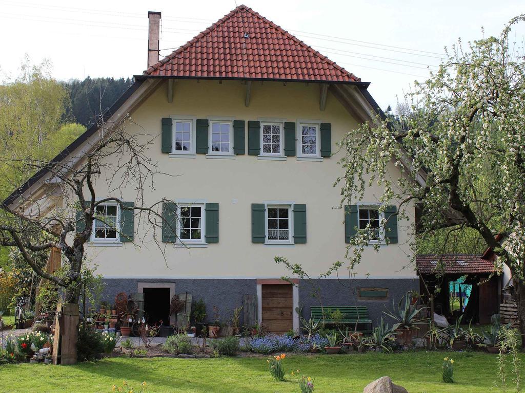 Haus Am Bach Appartamento Steinach  Esterno foto