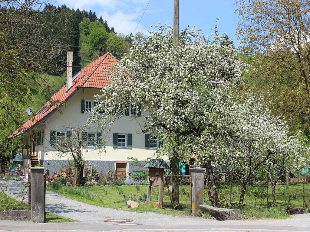 Haus Am Bach Appartamento Steinach  Esterno foto